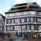 Herbstexkursion2017-10-21_09-17-17.JPG