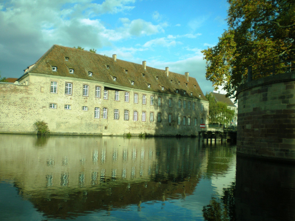 Herbstexkursion2017-10-21_09-19-27.JPG
