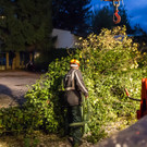 20171029_fmt_sturmschaden_Salzburg_mw-6.jpg