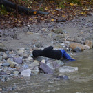 image012.jpg