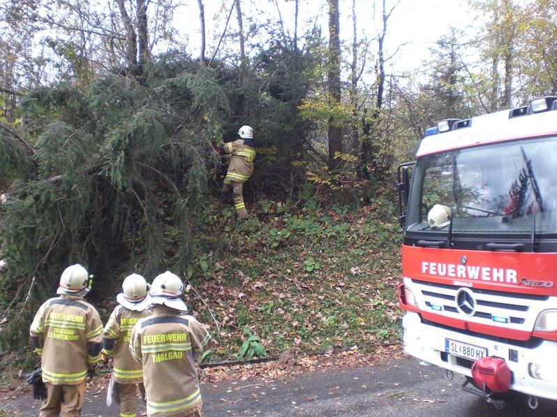 2017-10-30 07_02_50-Sturmeins__tze am 29 Oktober.jpg