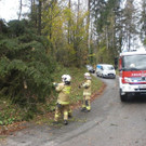 2017-10-30 07_02_58-Sturmeins__tze am 29 Oktober.jpg