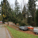 2017-10-30 07_05_21-Sturmeins__tze am 29 Oktober.jpg