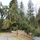 2017-10-30 07_07_13-Sturmeins__tze am 29 Oktober.jpg