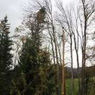 2017-10-30 07_07_30-Sturmeins__tze am 29 Oktober.jpg
