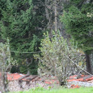 2017-10-30 07_07_37-Sturmeins__tze am 29 Oktober.jpg