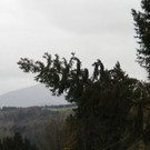 2017-10-30 07_07_43-Sturmeins__tze am 29 Oktober.jpg
