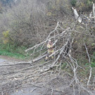 Einsätze in Hallwang