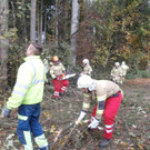 2017-10-30 07_40_52-Freiwillige Feuerwehr Seekirchen am Wallersee.jpg