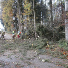 2017-10-30 07_40_04-Freiwillige Feuerwehr Seekirchen am Wallersee.jpg