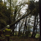 2017-10-30 07_40_12-Freiwillige Feuerwehr Seekirchen am Wallersee.jpg