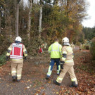 2017-10-30 07_40_26-Freiwillige Feuerwehr Seekirchen am Wallersee.jpg