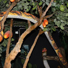 IMG_5717.JPG