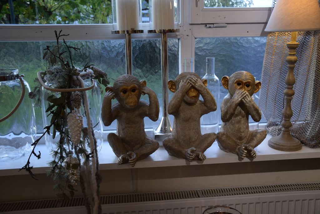 DSC_0015.JPG