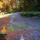 IMG_0912.JPG