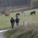 Meldungsliste_18__12.jpg