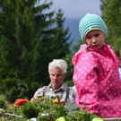 Alpabtrieb Dalaaser Staffel _41_.jpg