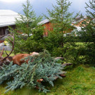 Hubertusfeier Garfrescha _33_.jpg