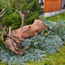 Hubertusfeier Garfrescha _34_.jpg