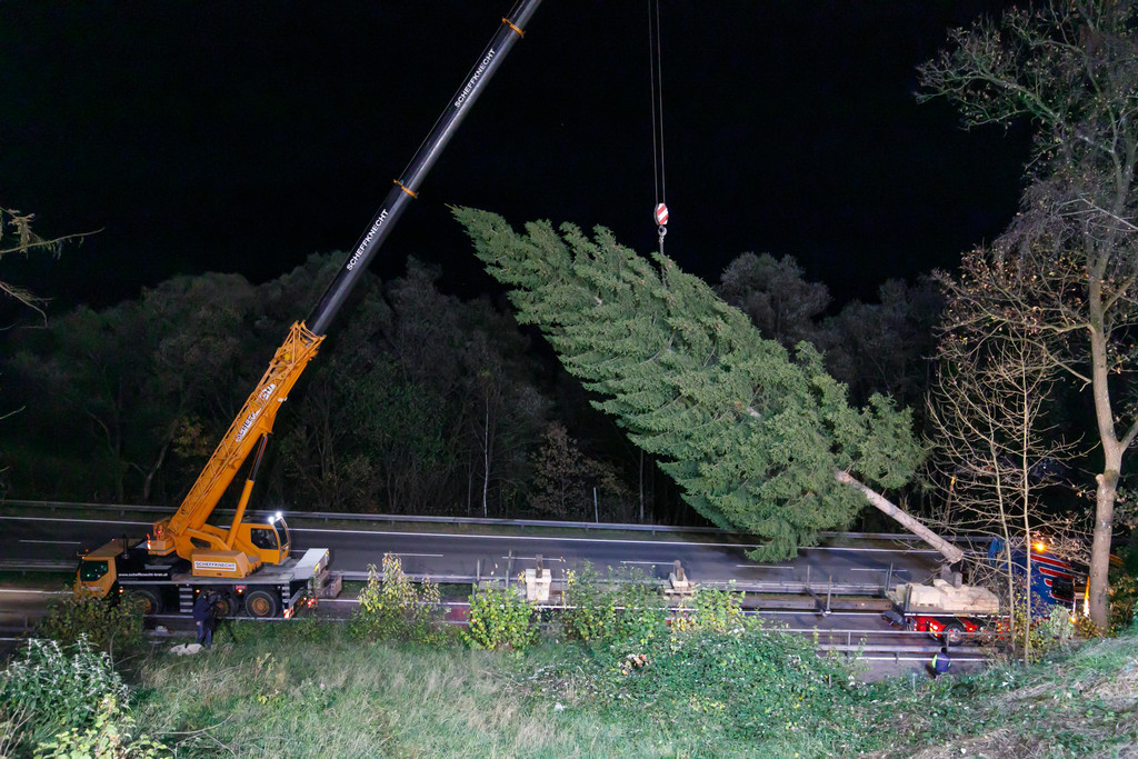 weihnachtsbaum_2.jpg