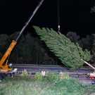 weihnachtsbaum_2.jpg