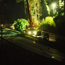 PB020491.JPG