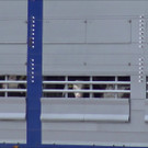 Parkplatz Dornbirn_06 - Kalb schaut raus.jpg
