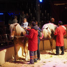 PB035923.JPG