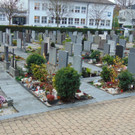DSC05200.JPG