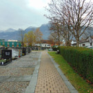 DSC05206.JPG