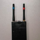 p40811-Foto2.jpg
