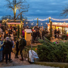 Weihnachtszauber beim Schloss Wilhelminenberg: Eindrücke