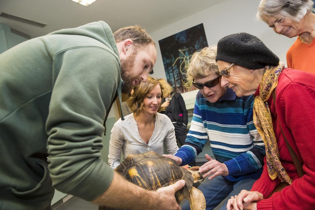 HDN_Museum_be_greifen_25.jpg