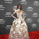Red Carpet: Pirelli Kalender 2018