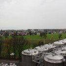 REGIO Unternehmerfr__hst__ck D F__HRUNG 10-11-2017 _1_.JPG