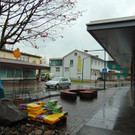 DSC05269.JPG