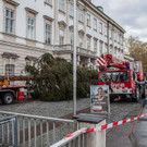 20171113_fmt_christbaum_mirabelle_mw-2.jpg