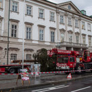20171113_fmt_christbaum_mirabelle_mw-3.jpg