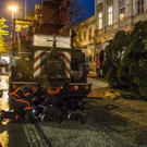 20171113_fmt_christbaum_mirabelle_mw-5.jpg