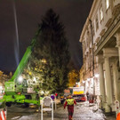 20171113_fmt_christbaum_mirabelle_mw-16.jpg