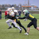 U15 Brouczek.jpg