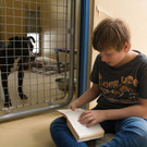 Projekt "Shelter-Buddy": Kinder lesen Tierheimhunden in Vösendorf vor