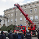 20171113_fmt_christbaum_christkindlmarkt_mw-1.jpg