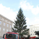 Christbaum am Residenzplatz II