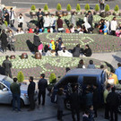 CORRECTION_South_Korea_Earthquake_23784.jpg