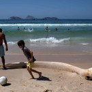 30-Tonnen Wal am Strand von Rio