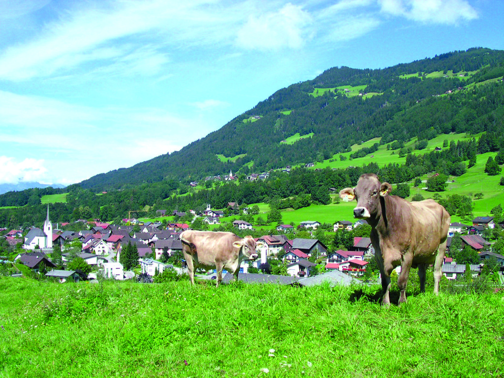 Dreiklang-Gemeinden.jpg