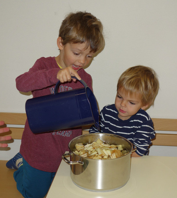 6_11_17 - Heute gibt es Apfelmus _24_.JPG
