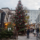 20171117_fmt_stern_advent_mw-1.jpg