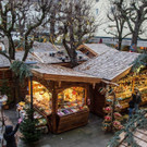 20171117_fmt_stern_advent_mw-5.jpg